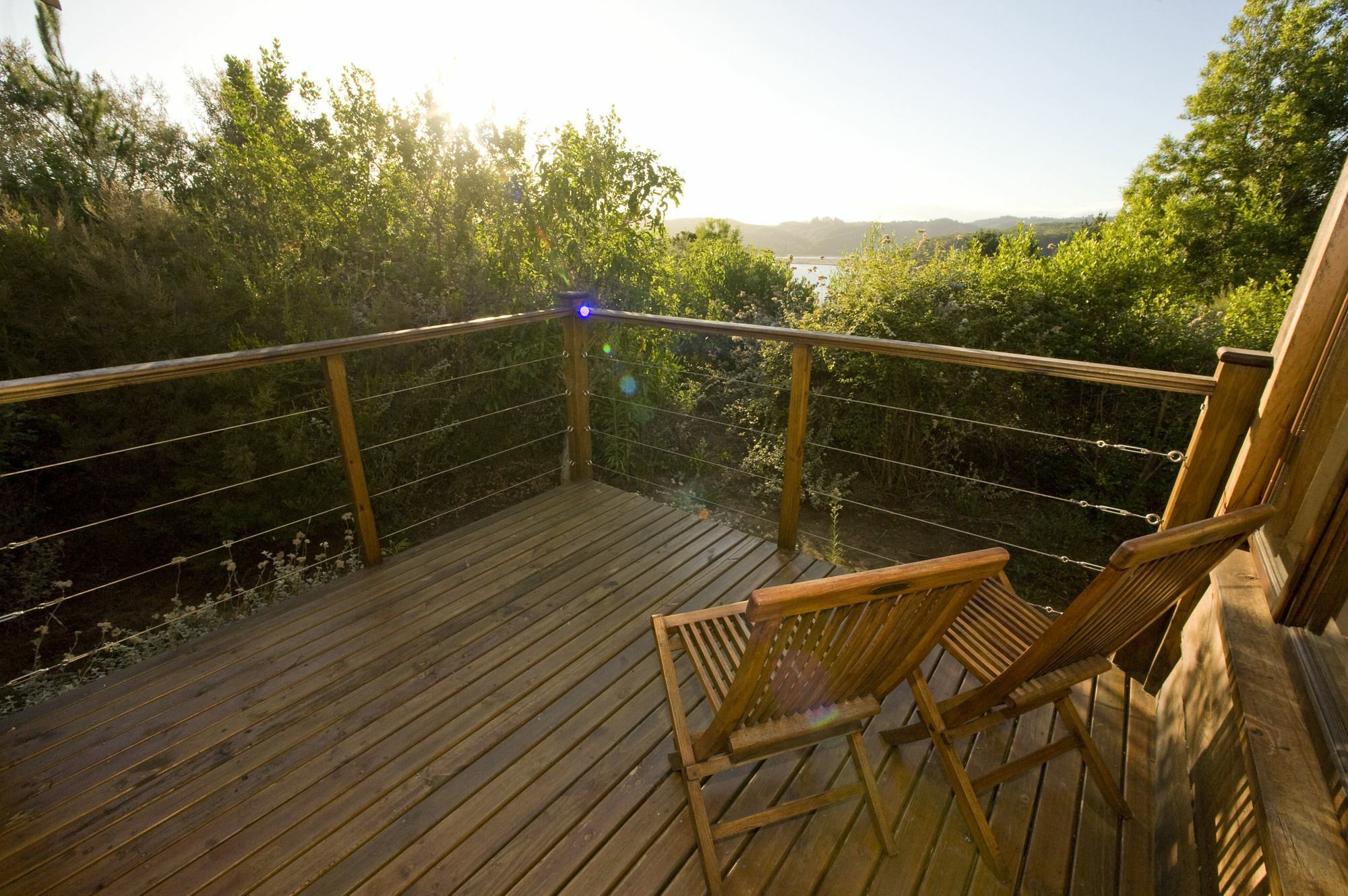 Elephant Hide Of Knysna Guest Lodge Bagian luar foto
