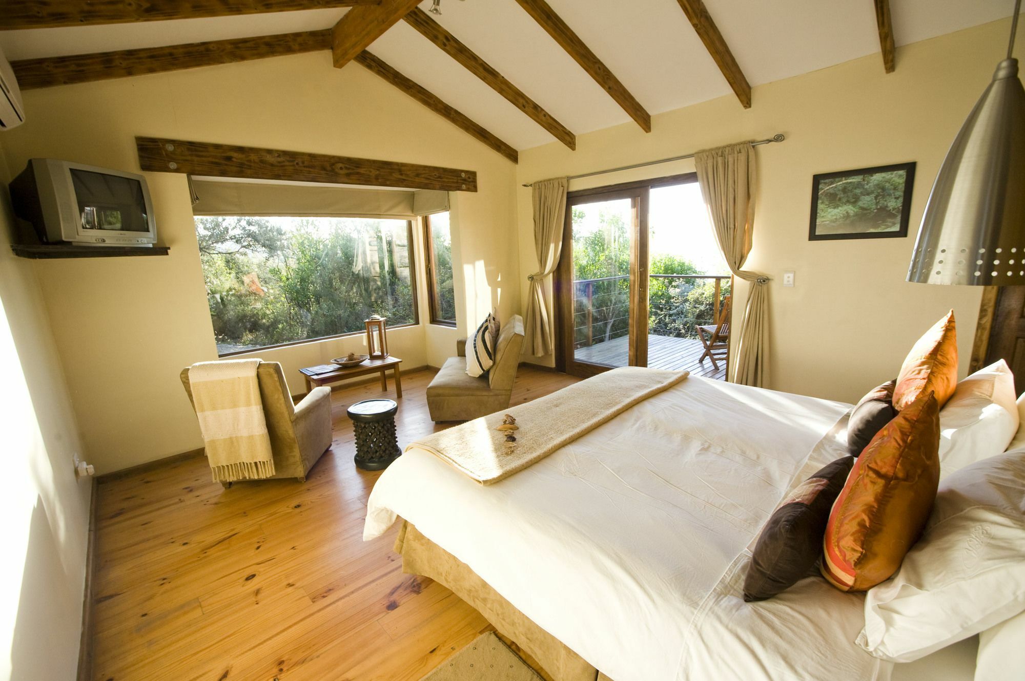 Elephant Hide Of Knysna Guest Lodge Bagian luar foto