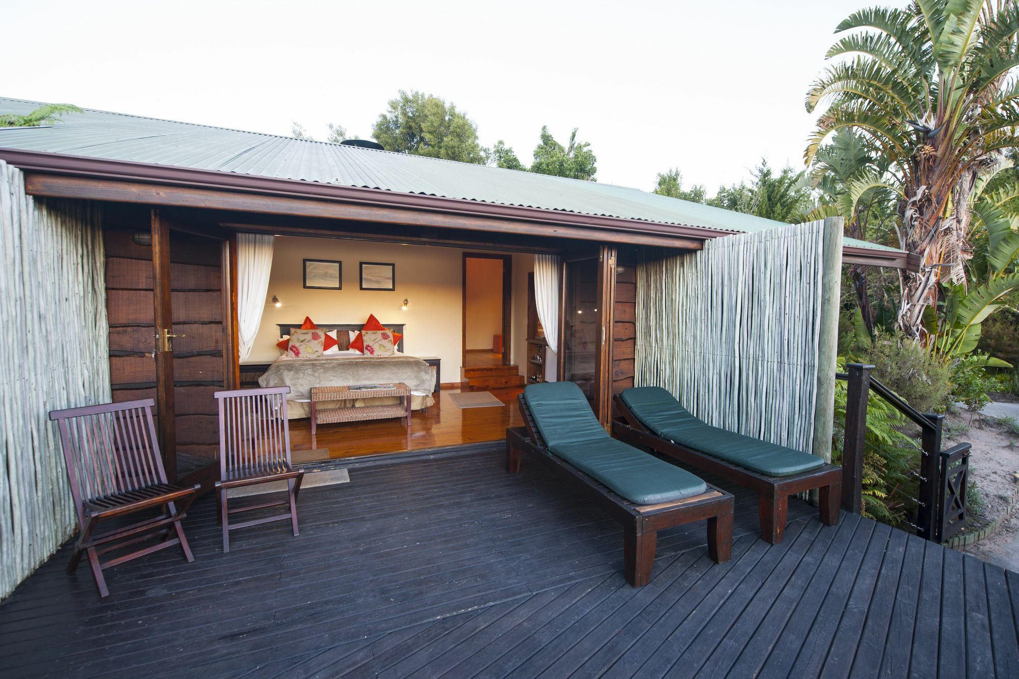 Elephant Hide Of Knysna Guest Lodge Bagian luar foto