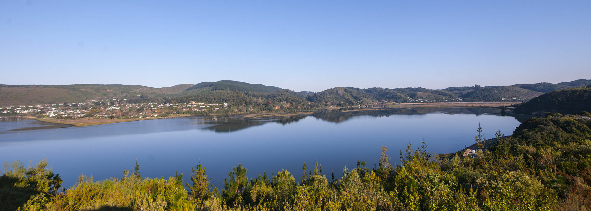 Elephant Hide Of Knysna Guest Lodge Bagian luar foto
